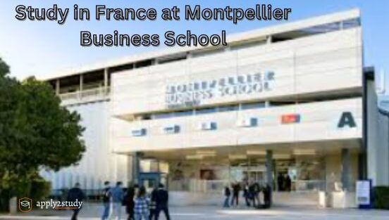 Study in France at Montpellier Business School!