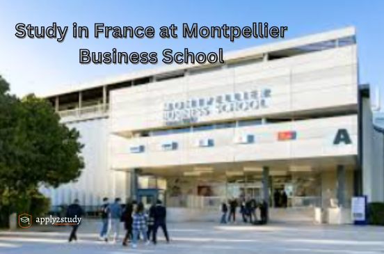 Study in France at Montpellier Business School!